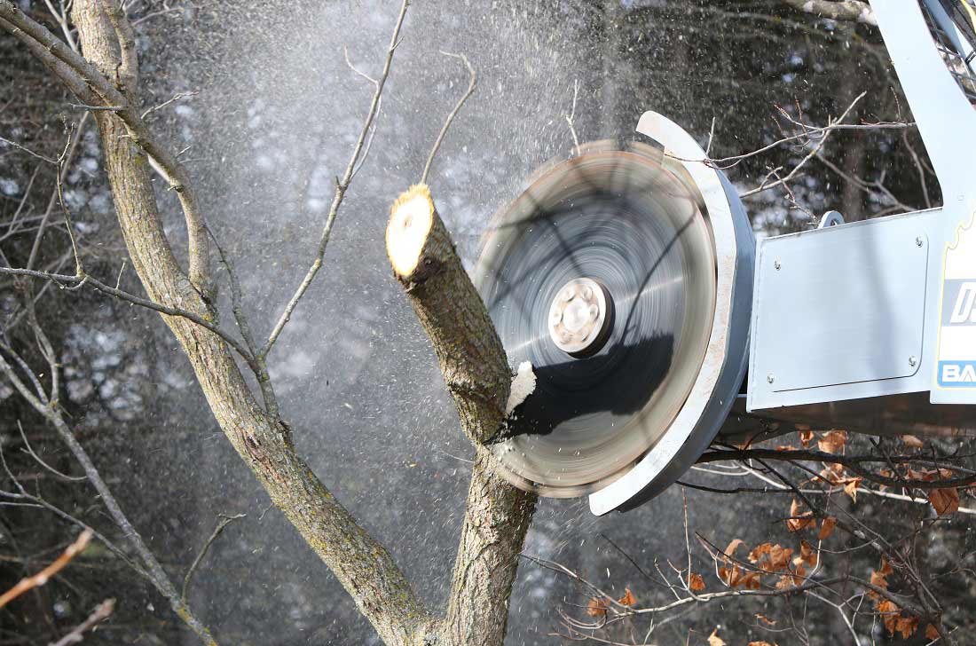 Coupe de branche avec scie à arbre à entraînement hydraulique