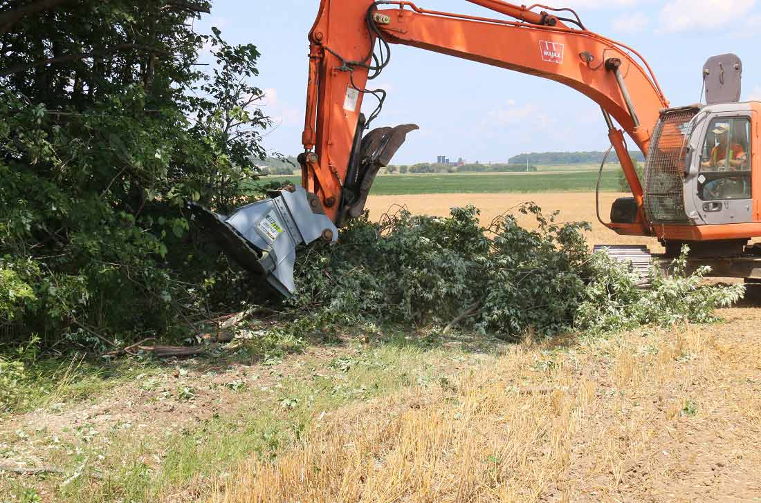 Heavy duty baumalight tree saw