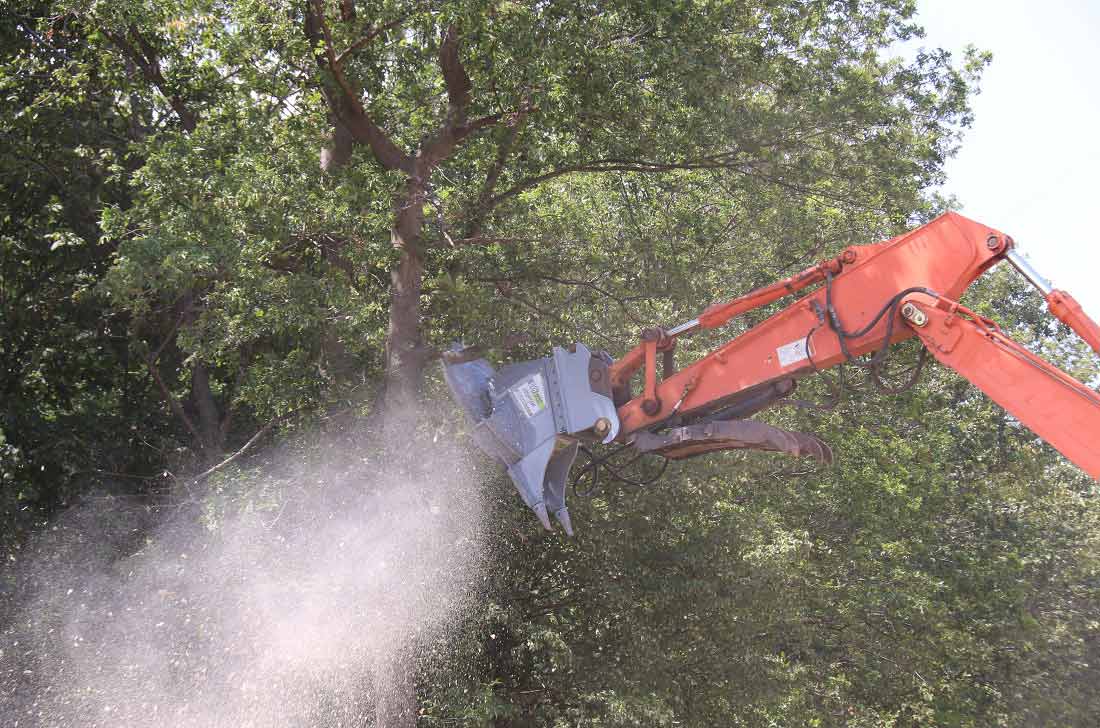 Limb saw on excavator