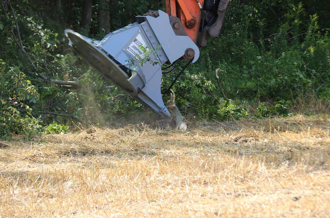 Moving brush with Baumalight tree saw