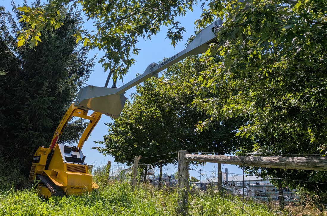 baumalight hsm513 treesaw maximum cutting height