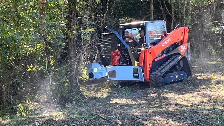 dsa530 for taking down tree