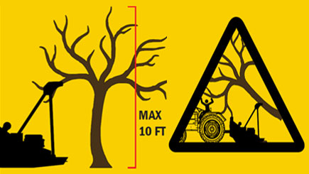 Max 10 ft. tree height