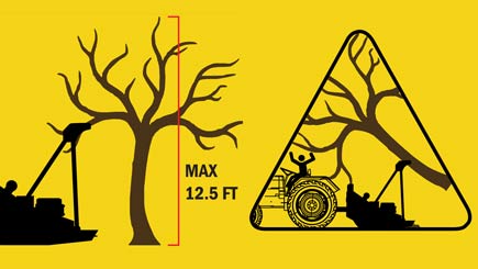 Max 12.5 ft. tree height