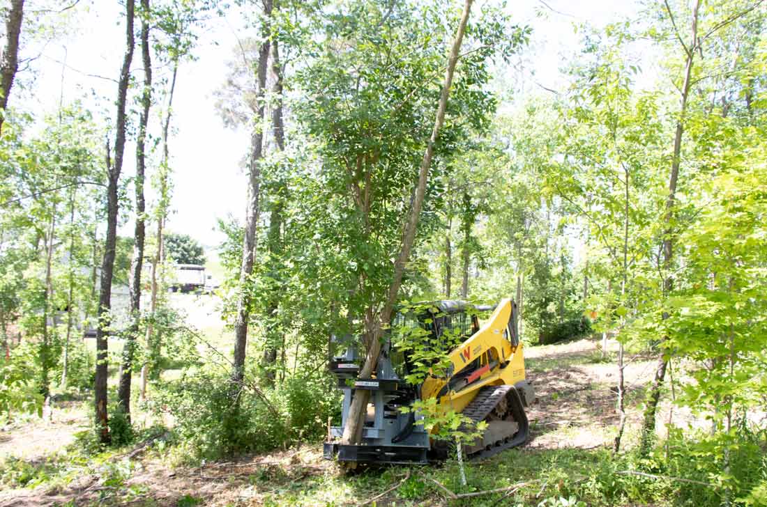 ish712g for shearing vertical trees