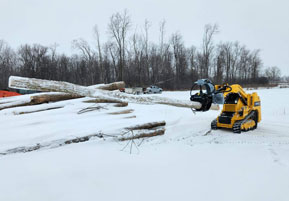 Baumalight Log Grapple