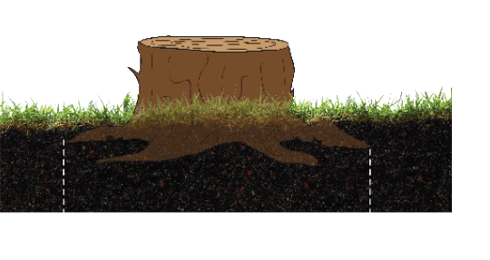 42in Root Base