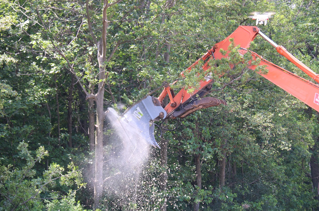 Trimming trees with drop saw