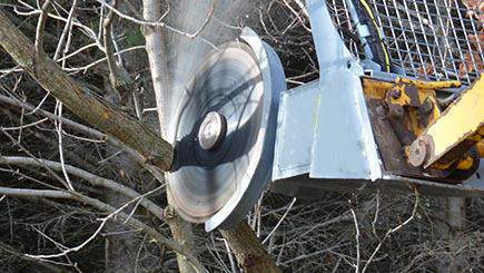 Vertica tree saw for skidsteer