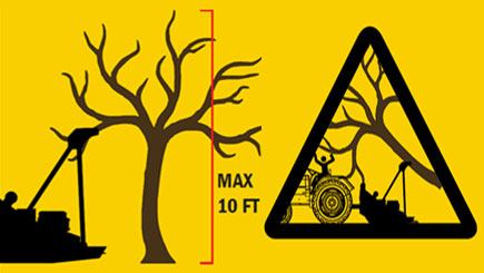 Hauteur d'arbre maximale de 10 pi