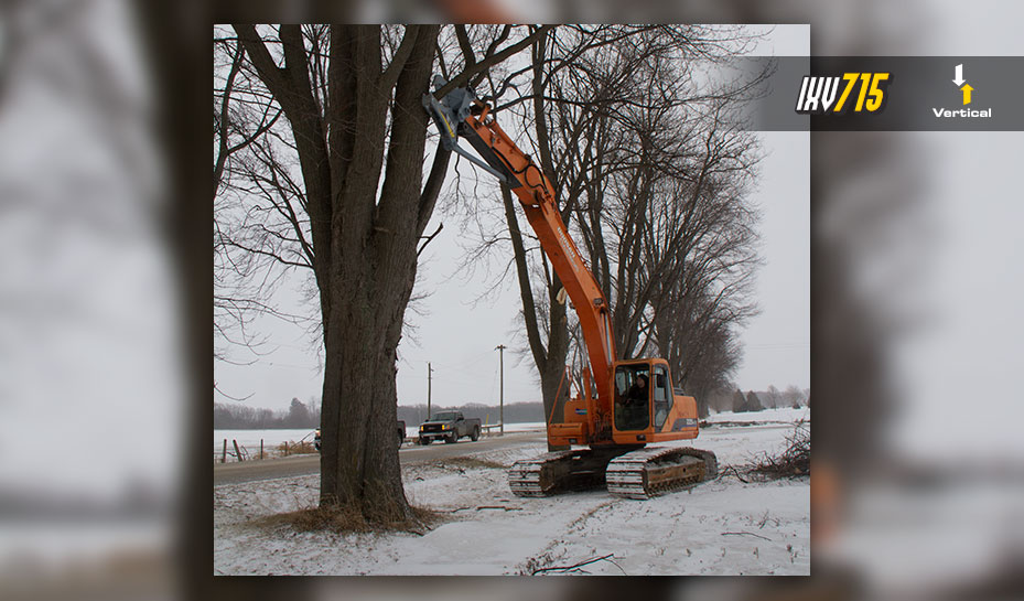 Excavator mounted Baumalight 15 inch vertical tree shear