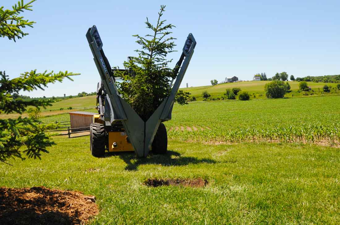 Baumalight 24 inch spade moving tree