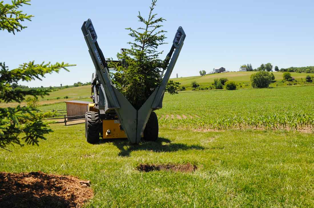 Baumalight 30 inch spade moving tree