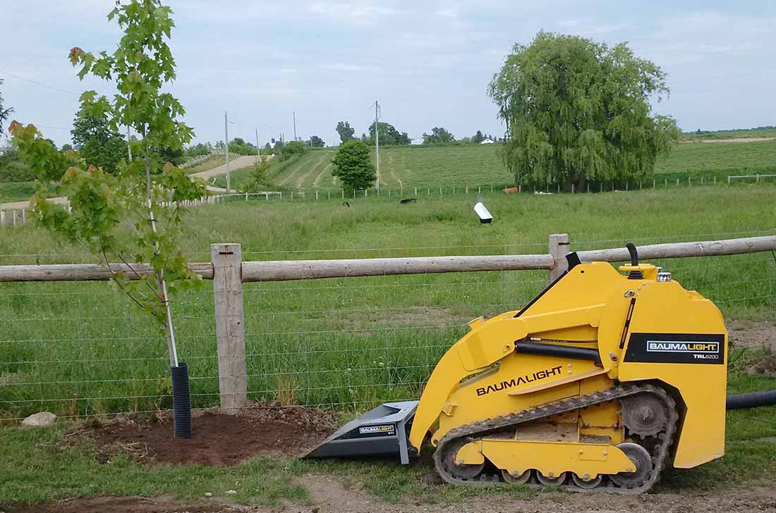 Planing Tree With mini track loader
